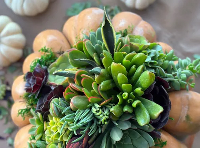 Pumpkins For Good Workshop